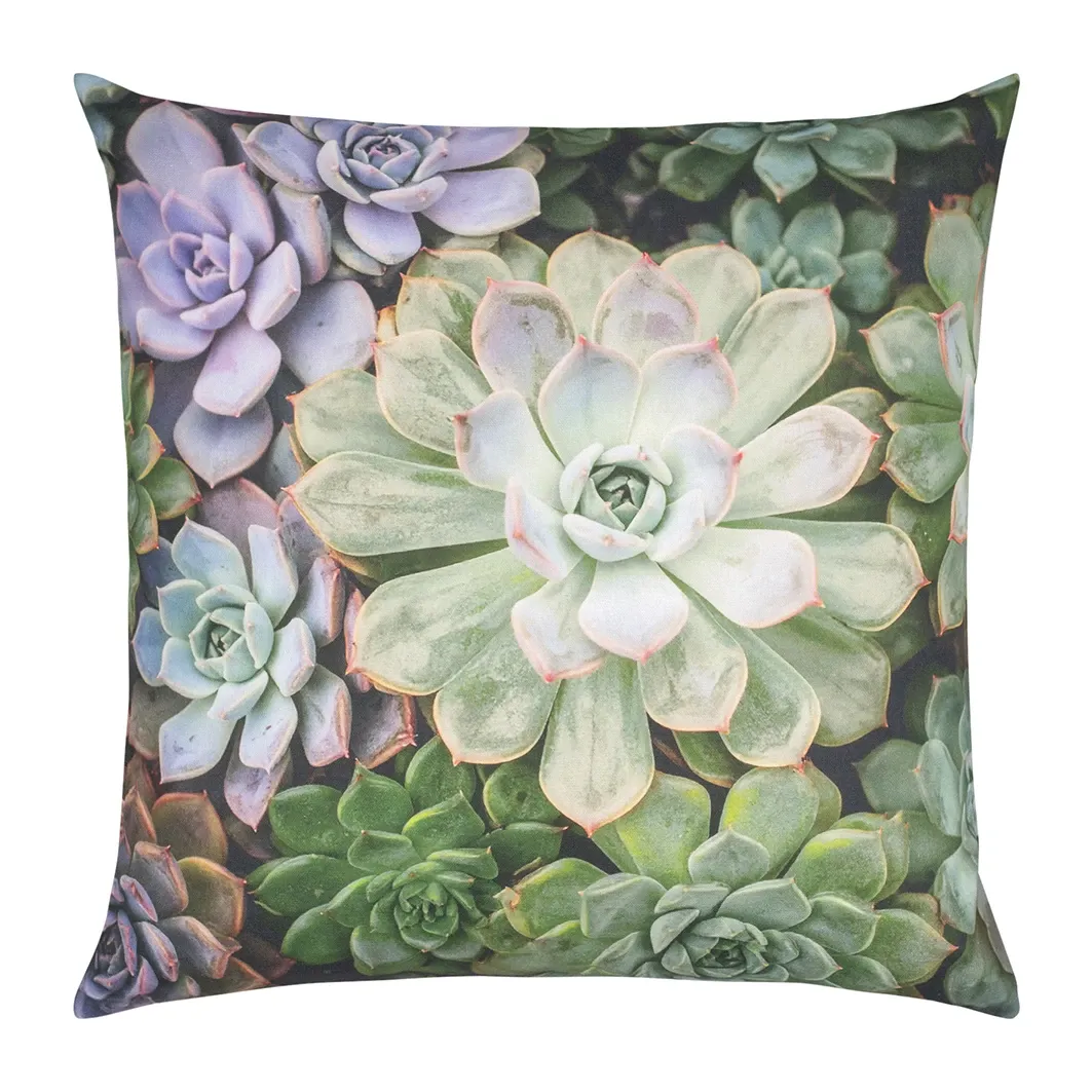 pad Echeveria Kissenhülle 45x45cm multi