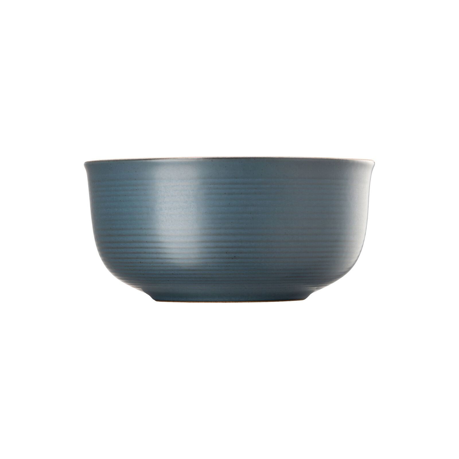 Rosenthal Thomas Nature Ocean Schüssel 24cm